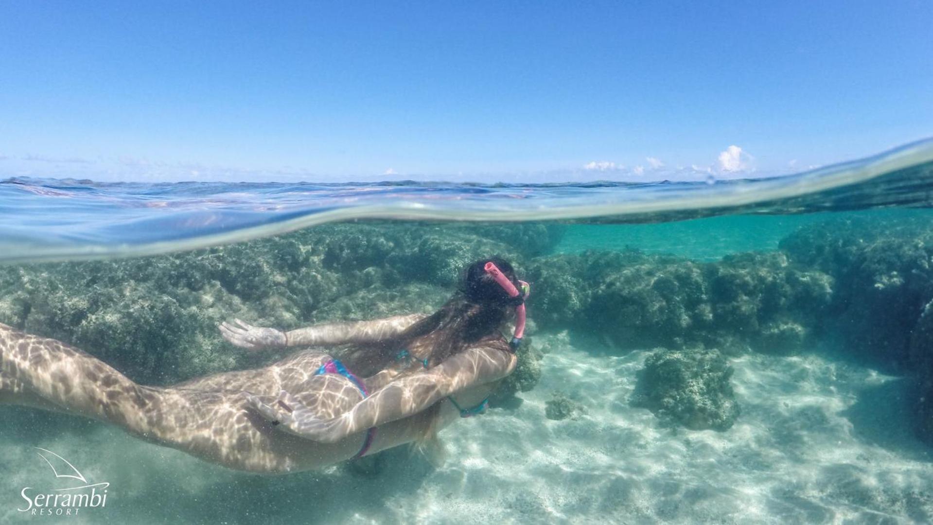 Serrambi Resort Pôrto das Galinhas Dış mekan fotoğraf
